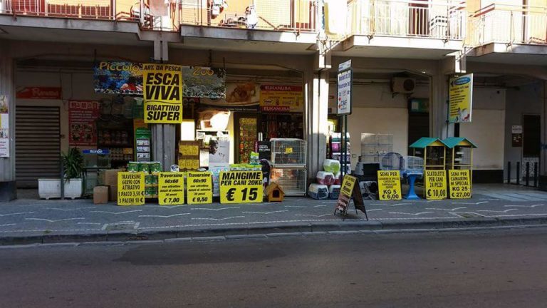 Caivano, semaforo verde per la “Giornata della prevenzione delle malattie” degli amici a quattro zampe