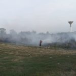 incendio ettaro