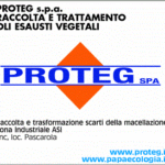 Proteg