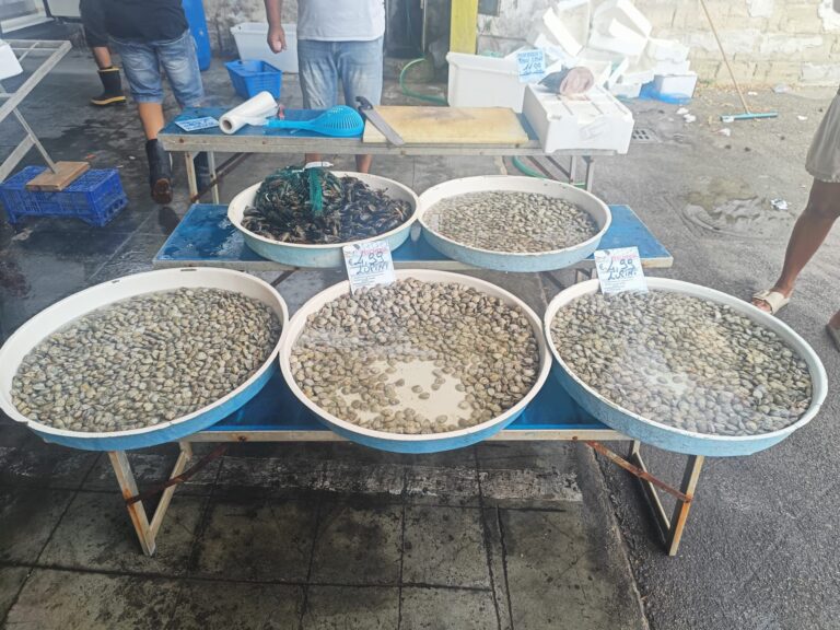 Sequestrati 35 kg di molluschi al mercato di Caivano